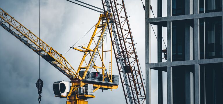COLOUR-IMAGE_crane_feb26