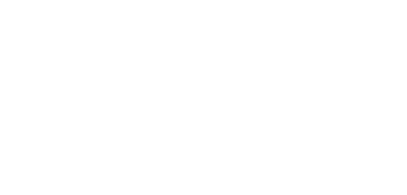 LOGO_wsp_h180_white