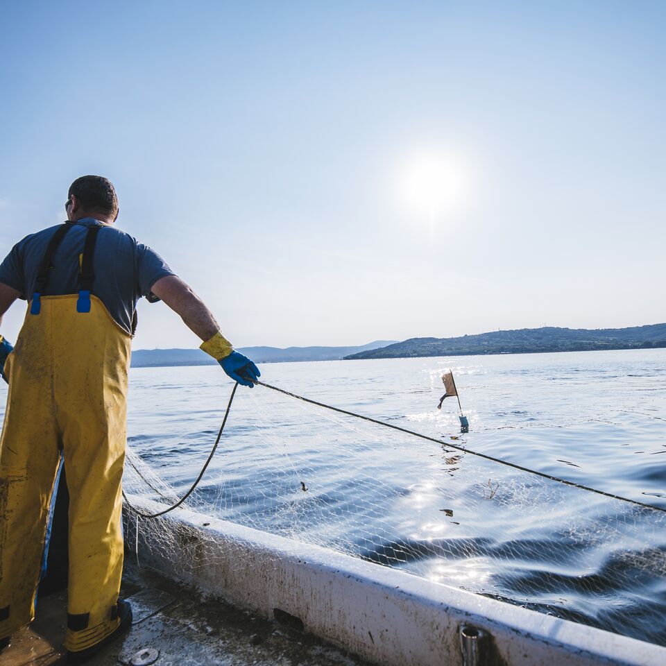 COLOUR-IMAGE_fisherman-on-boat_feb26