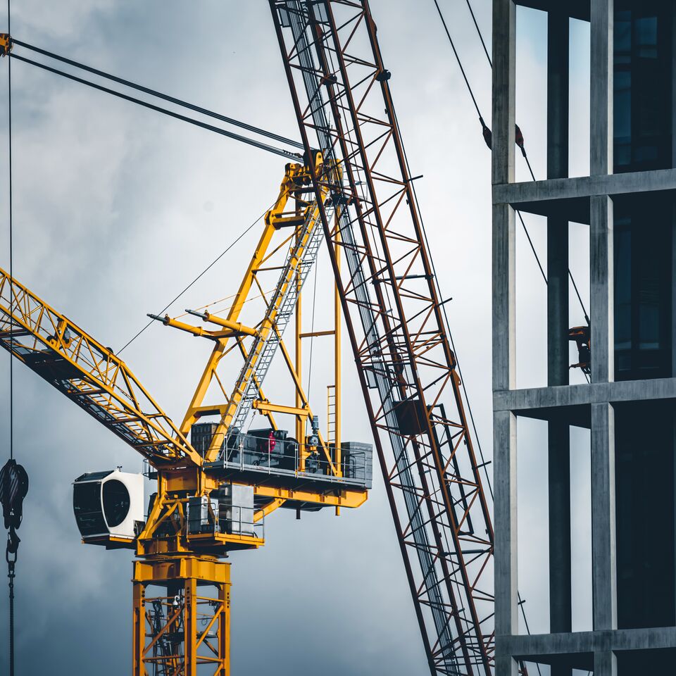 COLOUR-IMAGE_crane_feb26